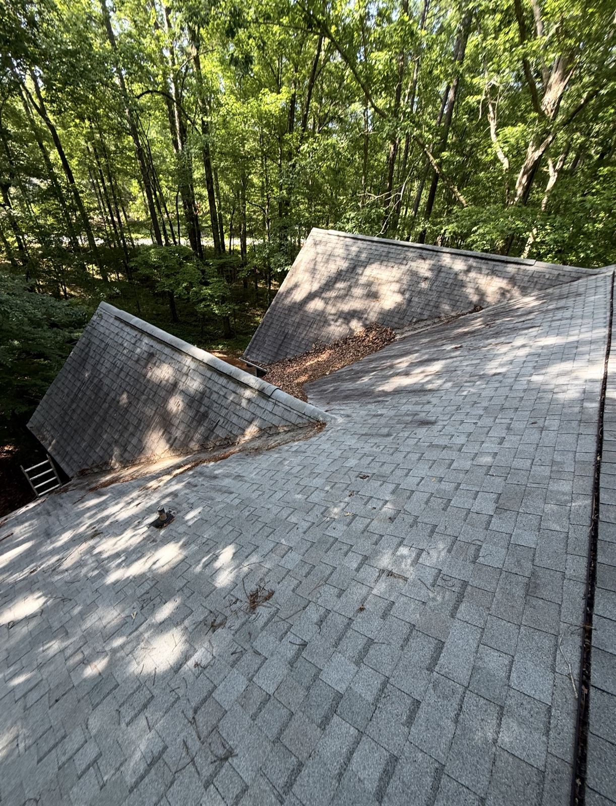 Stained shingle roof with debris in the valleys before roof cleaning in Columbus, GA